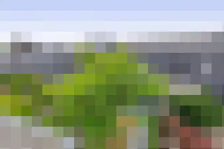 Zandhaai 58 Eindhoven thumbnail 47