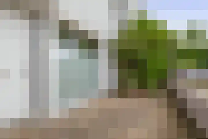 Zandhaai 58 Eindhoven thumbnail 48