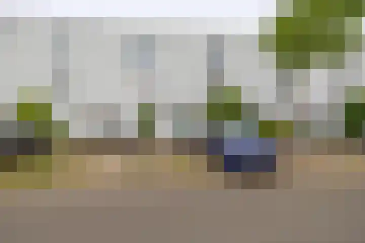 Zandhaai 58 Eindhoven thumbnail 49
