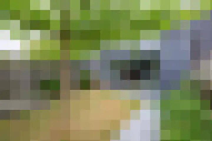 Zandhaai 58 Eindhoven thumbnail 5