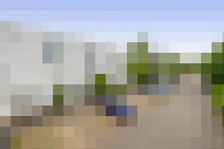 Zandhaai 58 Eindhoven thumbnail 50