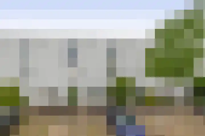 Zandhaai 58 Eindhoven thumbnail 8