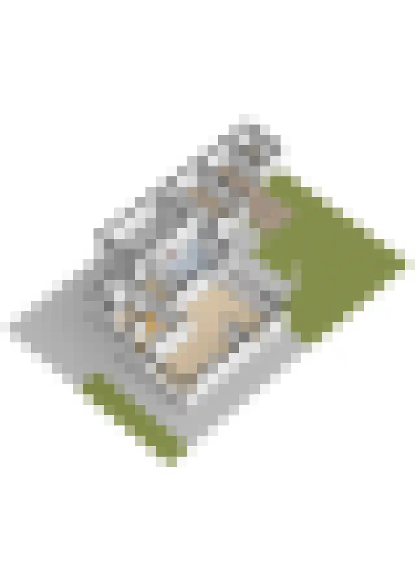 Zandhagedis 28 Eindhoven thumbnail 103
