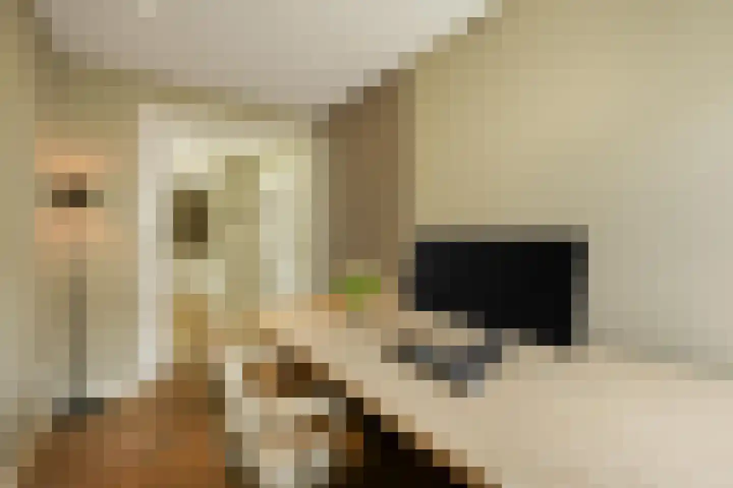 Zandhagedis 28 Eindhoven thumbnail 13