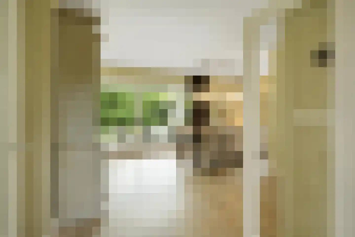 Zandhagedis 28 Eindhoven thumbnail 14