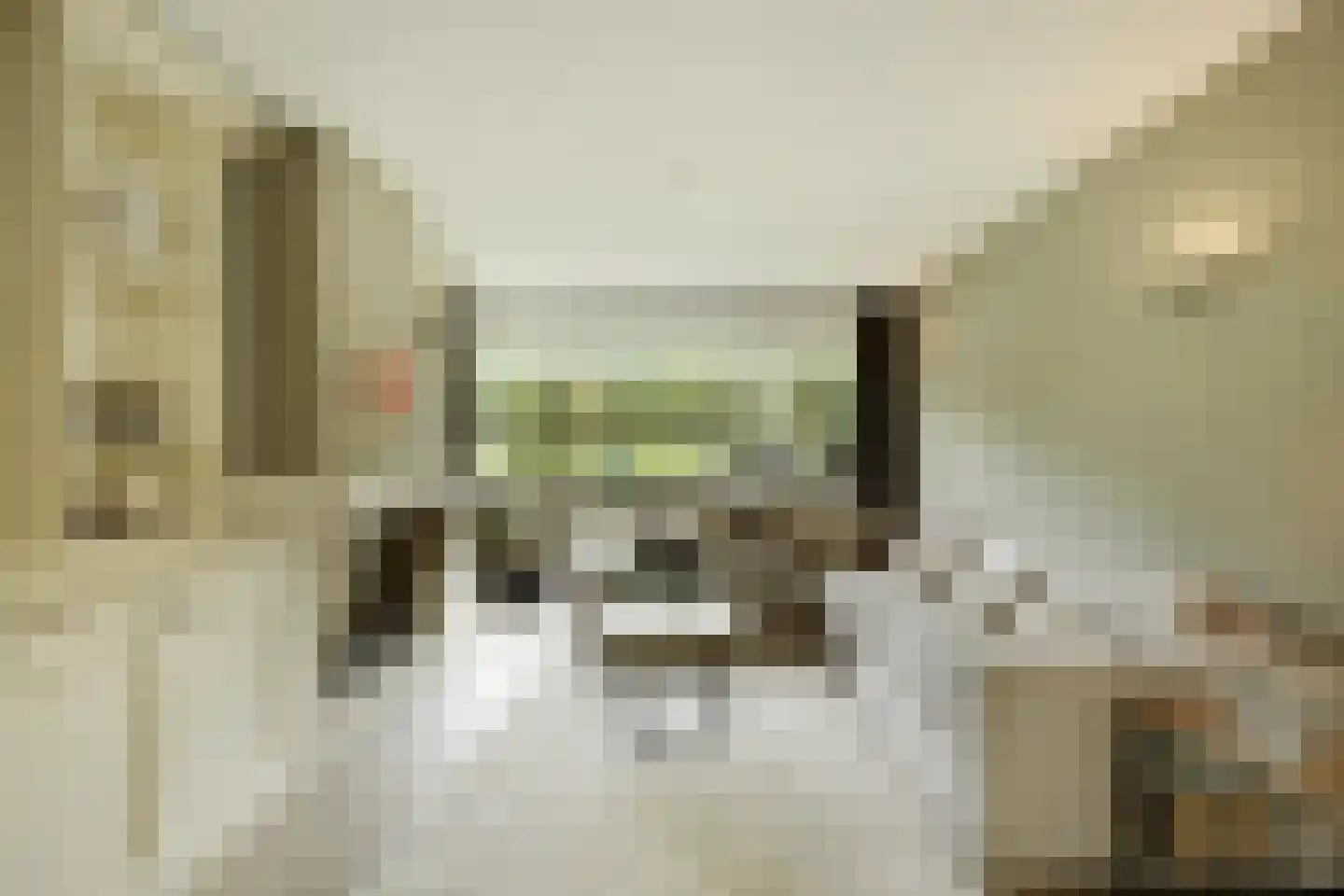 Zandhagedis 28 Eindhoven thumbnail 15