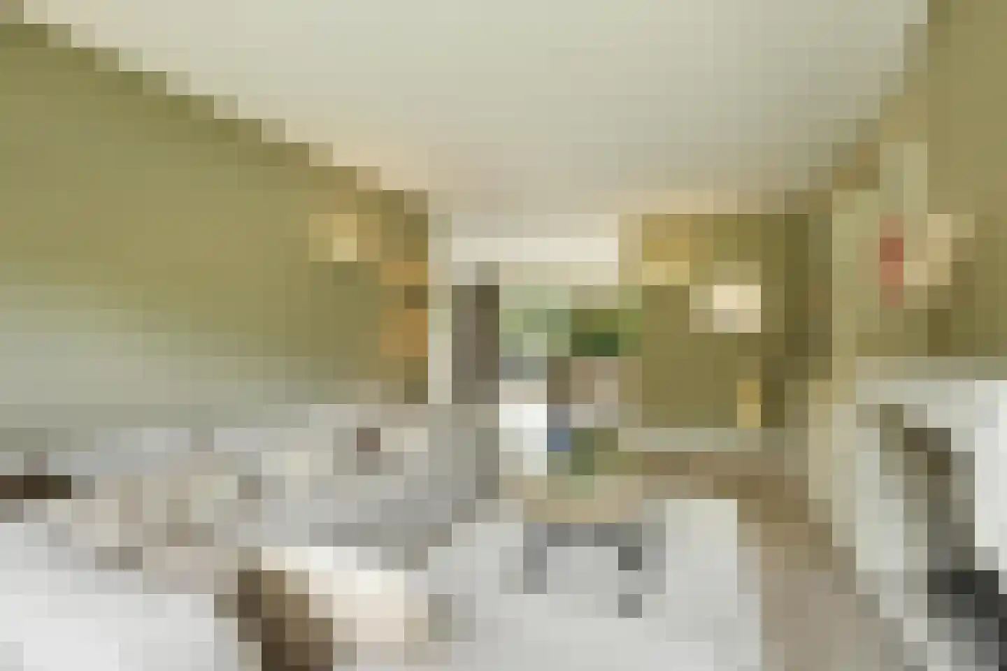 Zandhagedis 28 Eindhoven thumbnail 16