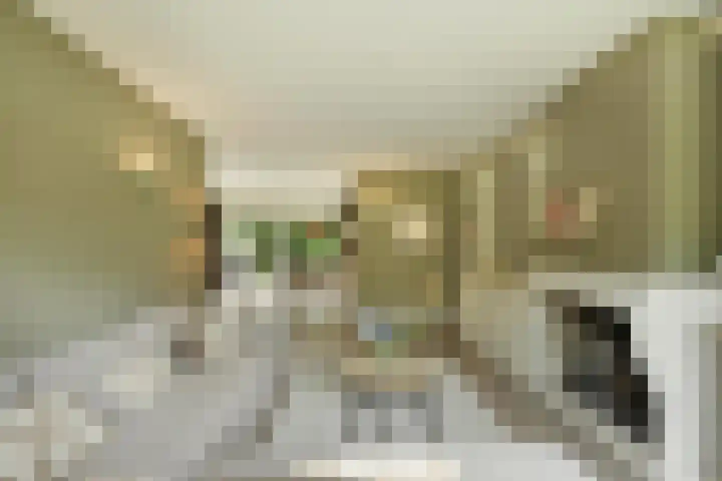 Zandhagedis 28 Eindhoven thumbnail 17