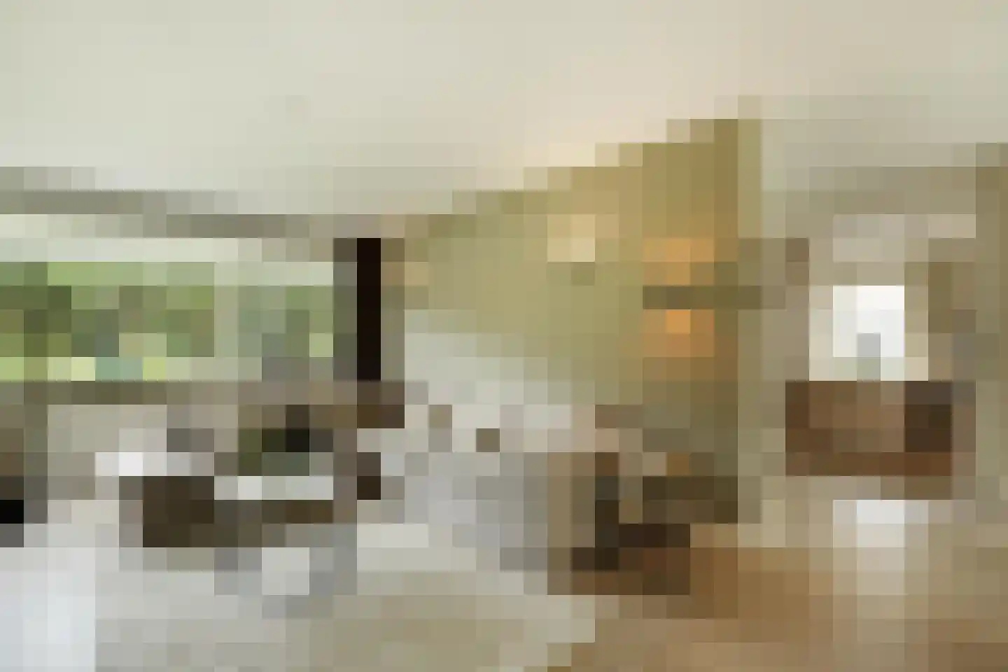 Zandhagedis 28 Eindhoven thumbnail 18