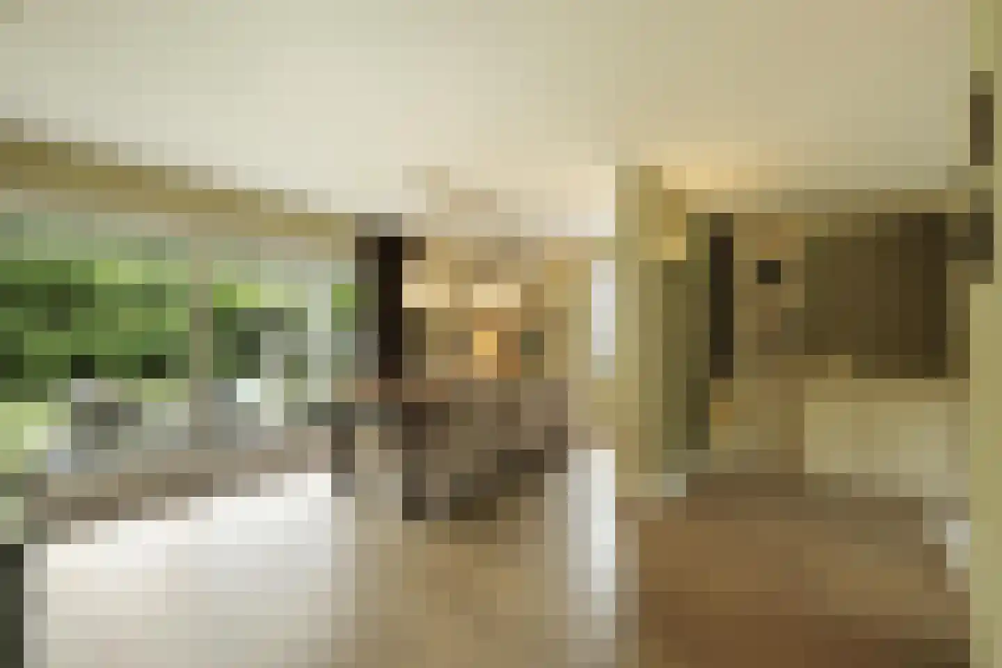 Zandhagedis 28 Eindhoven thumbnail 20