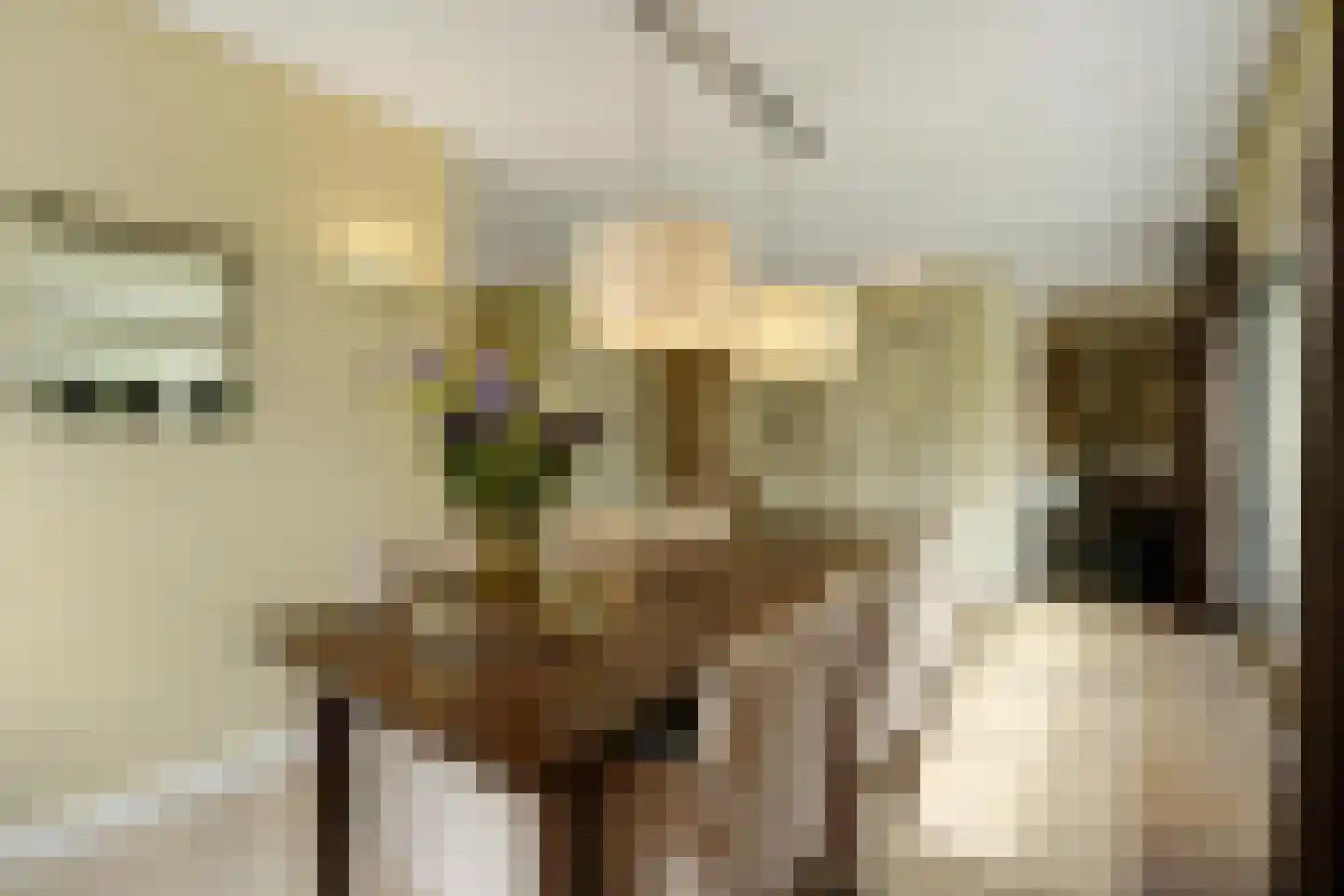 Zandhagedis 28 Eindhoven thumbnail 24