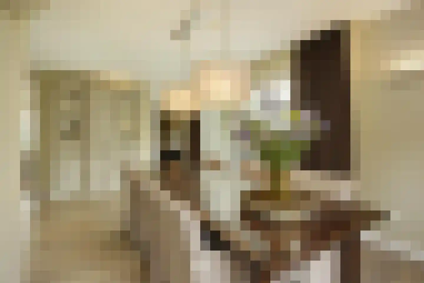 Zandhagedis 28 Eindhoven thumbnail 25