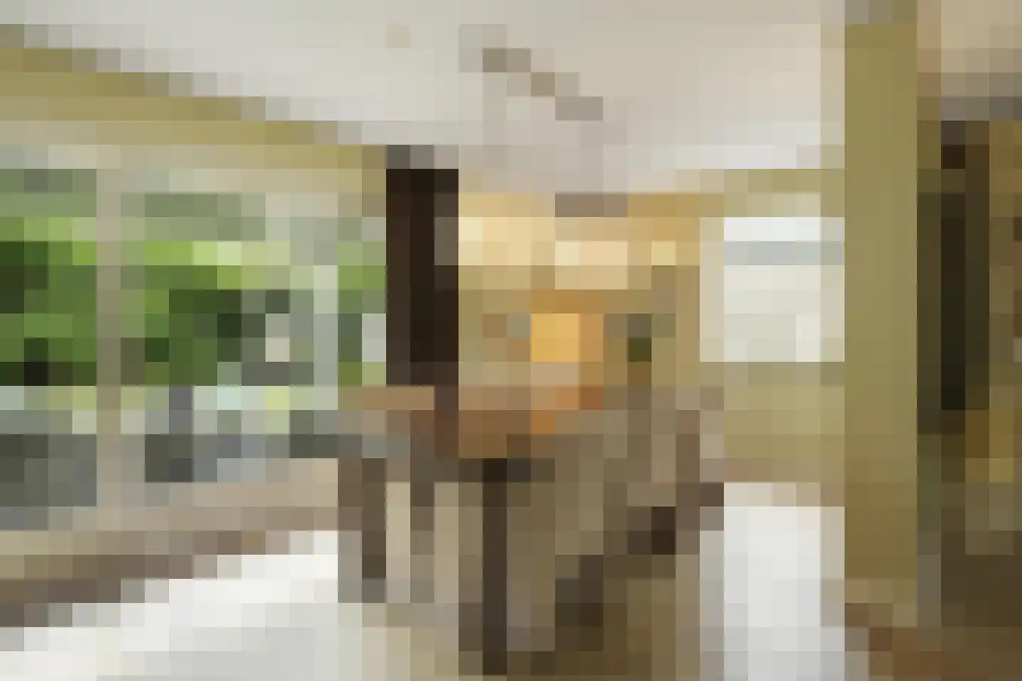 Zandhagedis 28 Eindhoven thumbnail 26