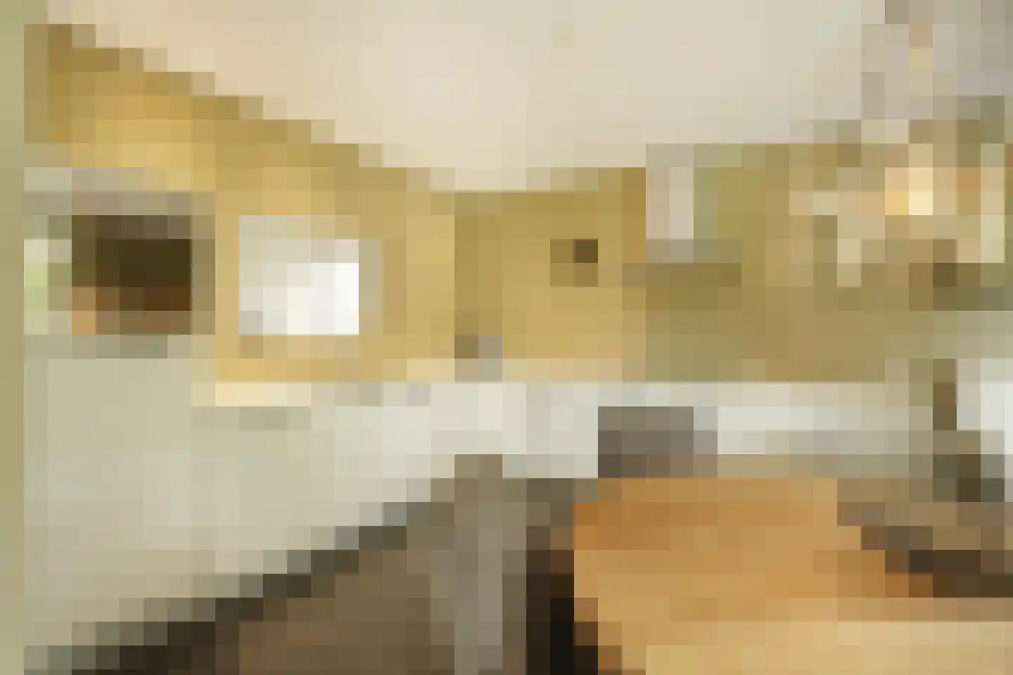 Zandhagedis 28 Eindhoven thumbnail 28