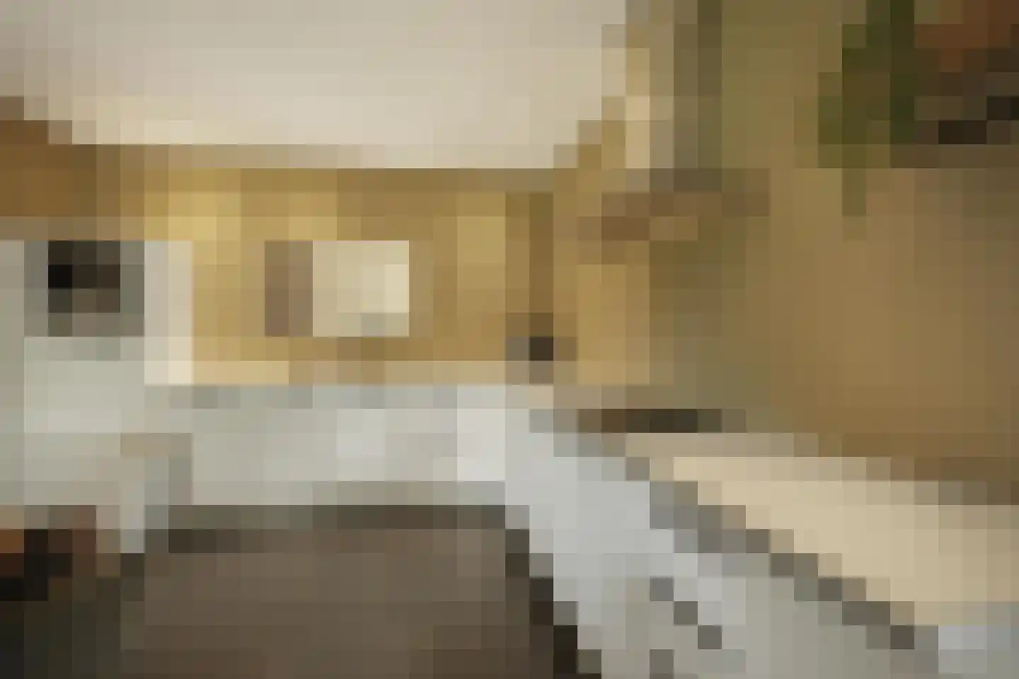 Zandhagedis 28 Eindhoven thumbnail 30