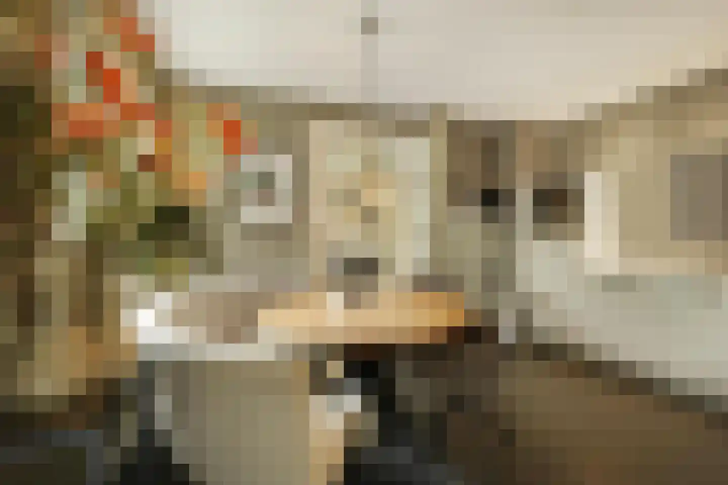 Zandhagedis 28 Eindhoven thumbnail 31