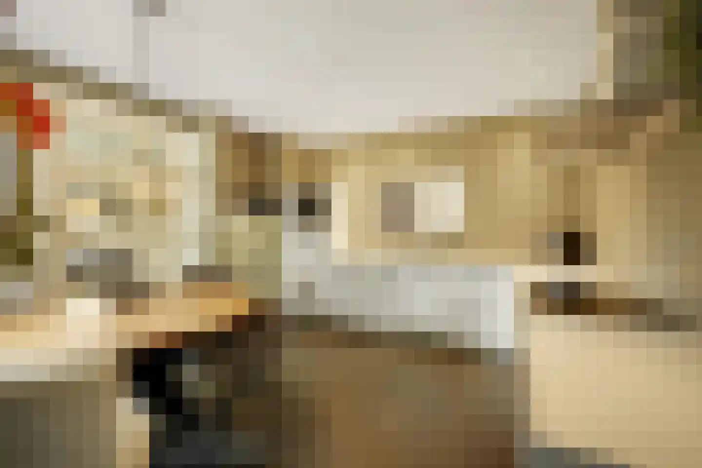 Zandhagedis 28 Eindhoven thumbnail 32