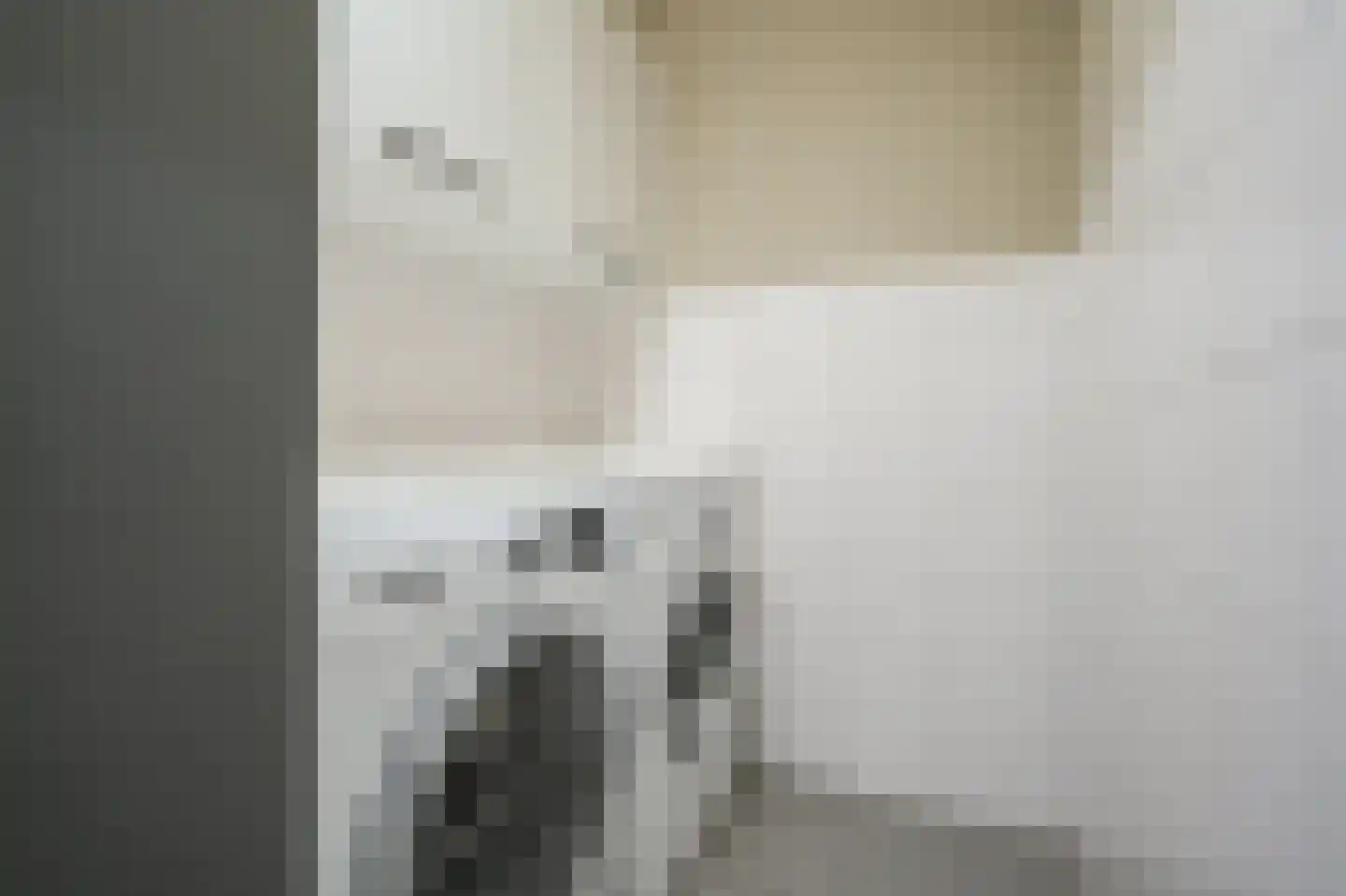 Zandhagedis 28 Eindhoven thumbnail 33