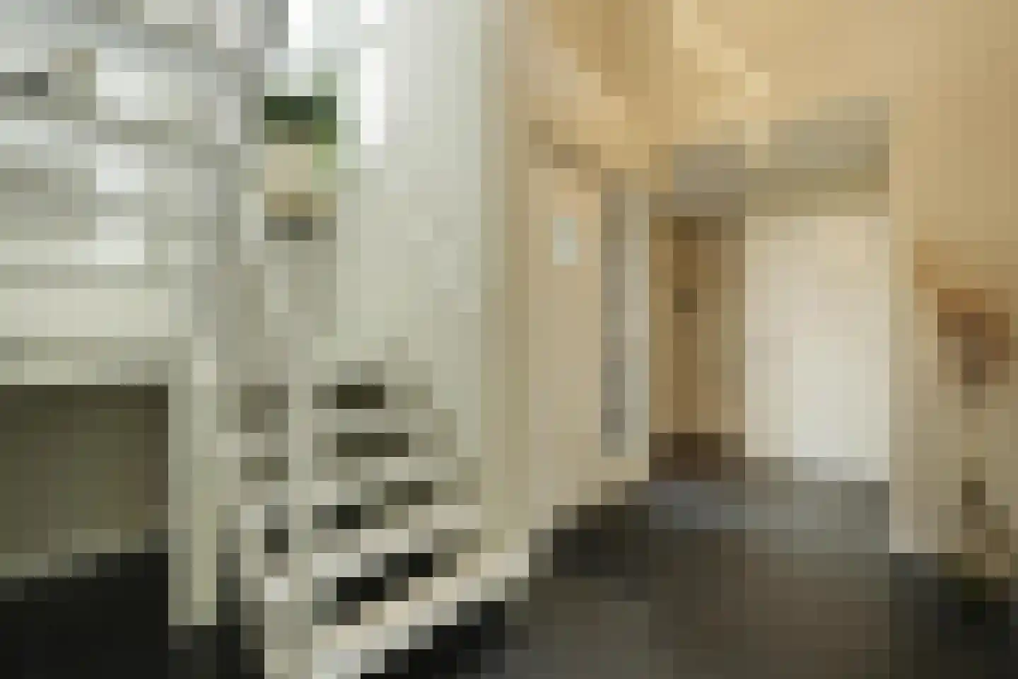 Zandhagedis 28 Eindhoven thumbnail 37