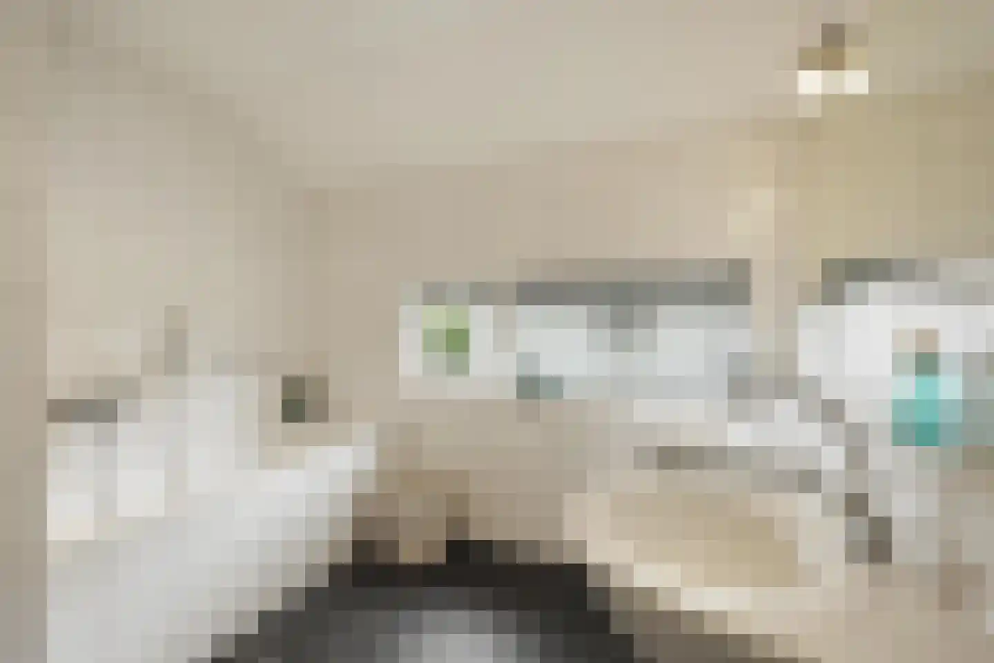 Zandhagedis 28 Eindhoven thumbnail 4
