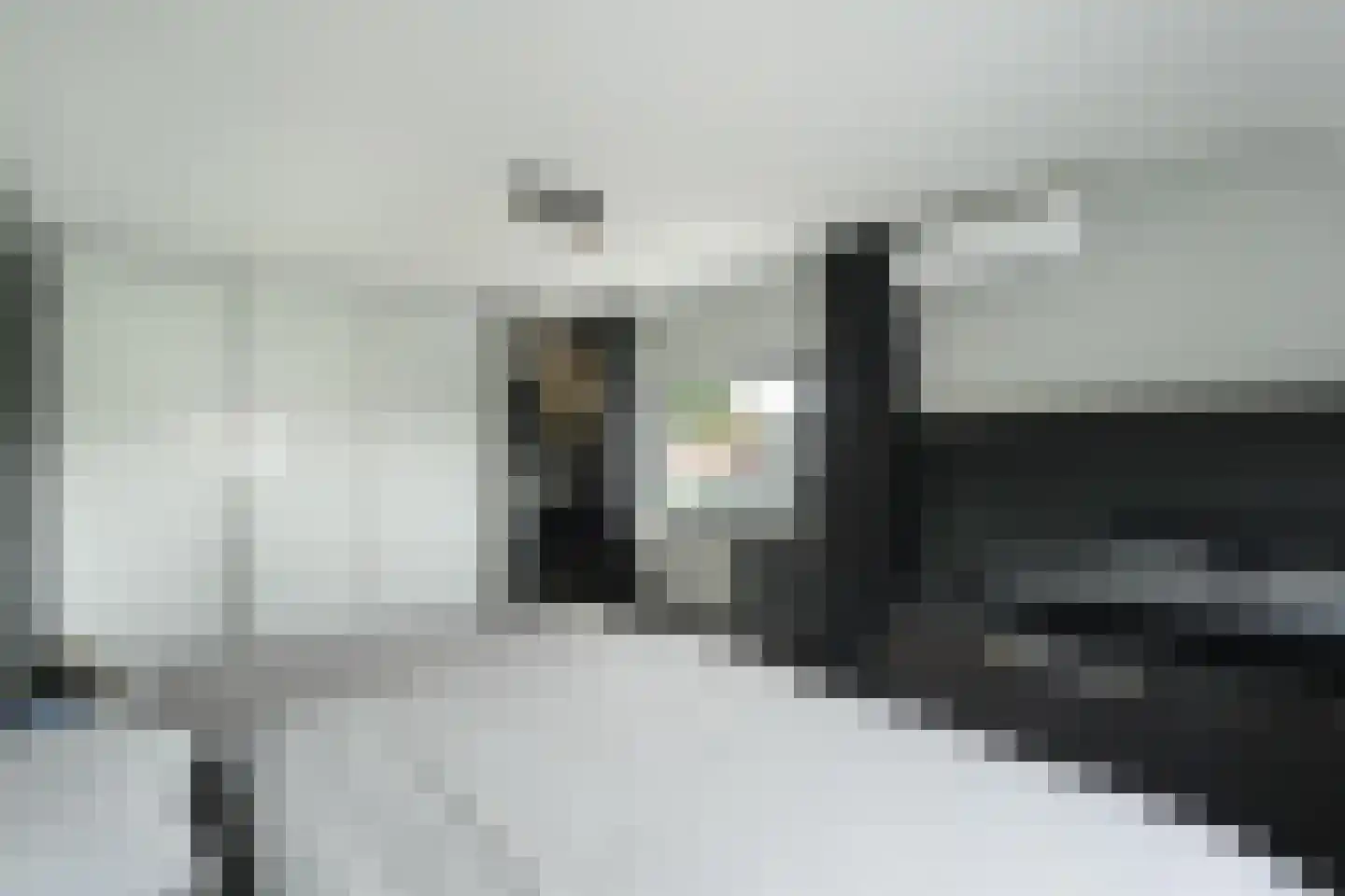 Zandhagedis 28 Eindhoven thumbnail 46