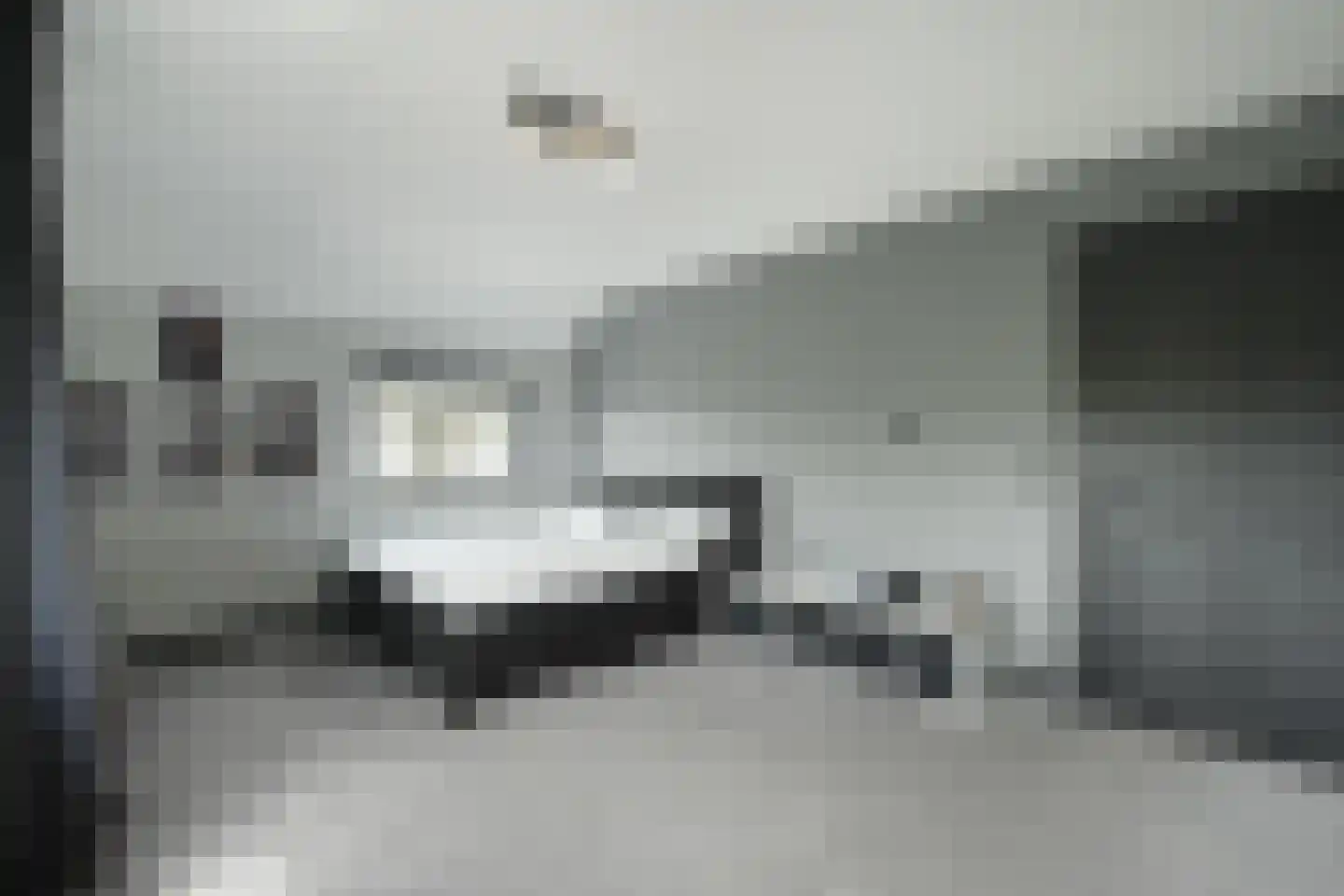 Zandhagedis 28 Eindhoven thumbnail 5