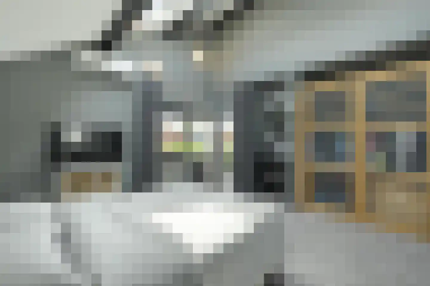 Zandhagedis 28 Eindhoven thumbnail 51