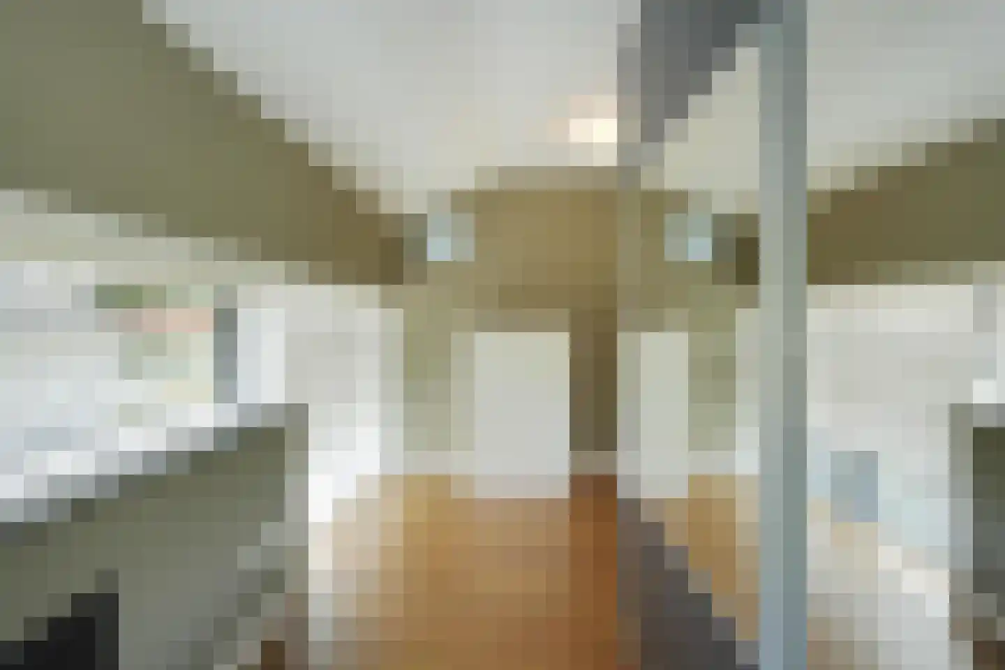 Zandhagedis 28 Eindhoven thumbnail 53