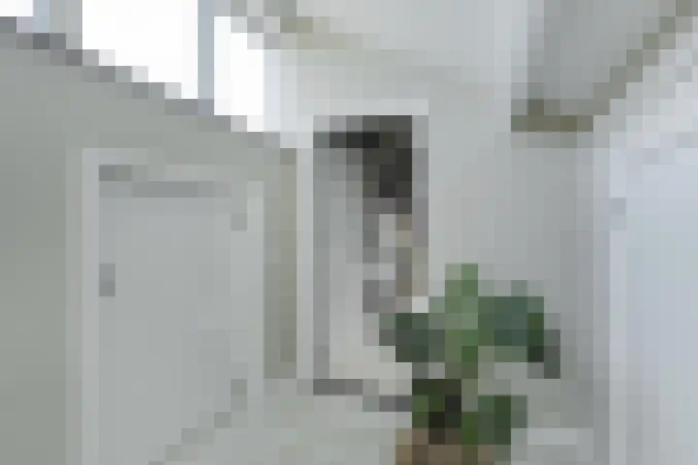 Zandhagedis 28 Eindhoven thumbnail 57