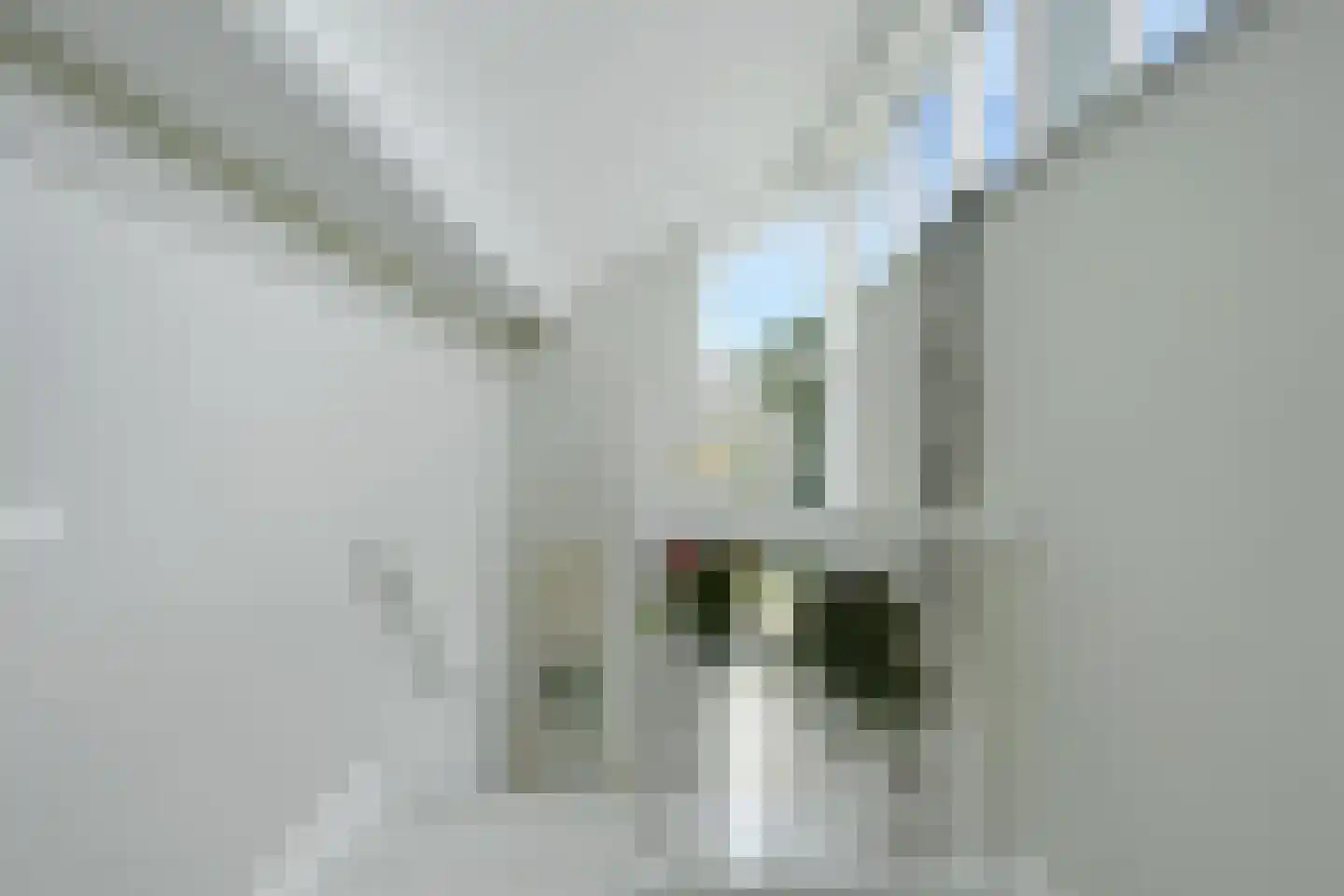 Zandhagedis 28 Eindhoven thumbnail 58