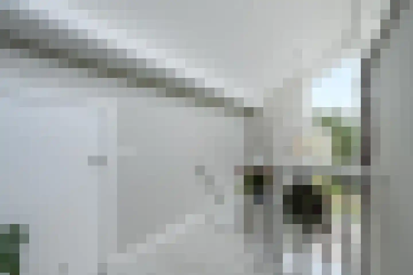 Zandhagedis 28 Eindhoven thumbnail 59