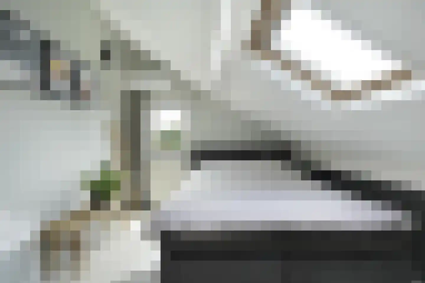 Zandhagedis 28 Eindhoven thumbnail 61