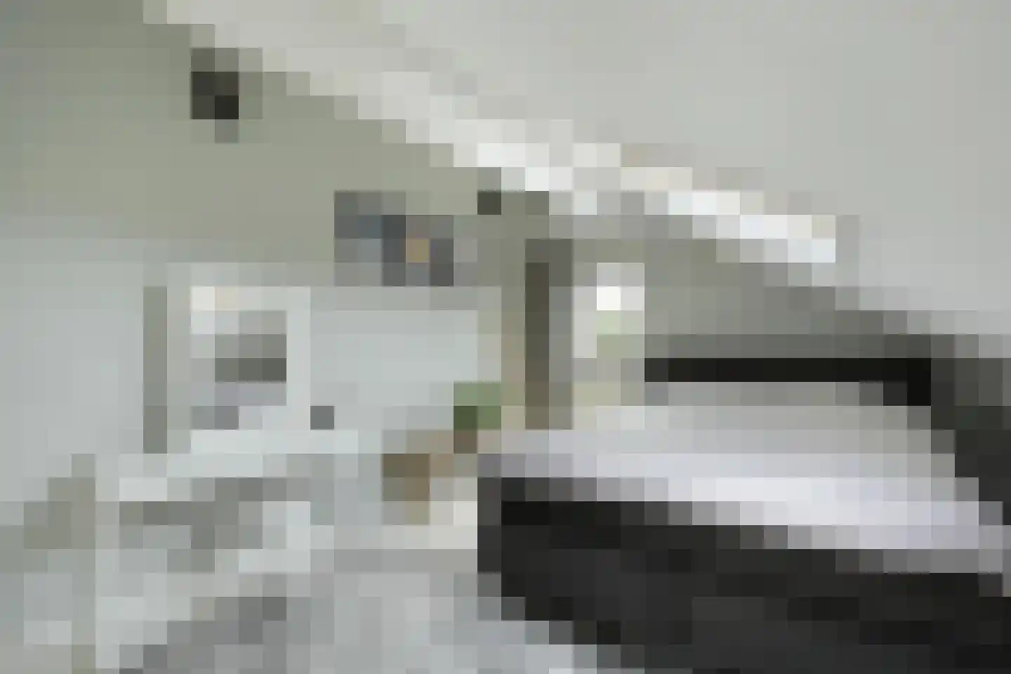 Zandhagedis 28 Eindhoven thumbnail 62