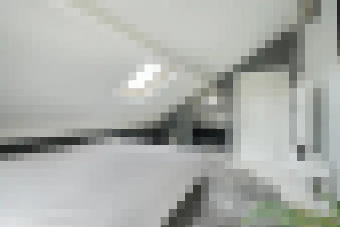 Zandhagedis 28 Eindhoven thumbnail 63