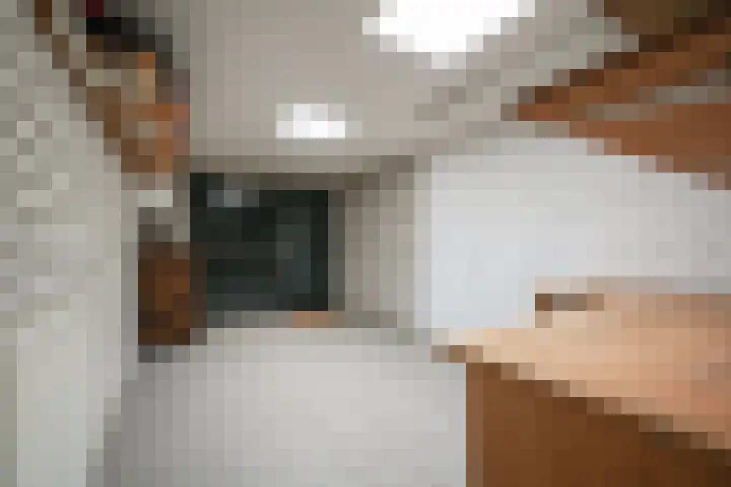 Zandhagedis 28 Eindhoven thumbnail 66