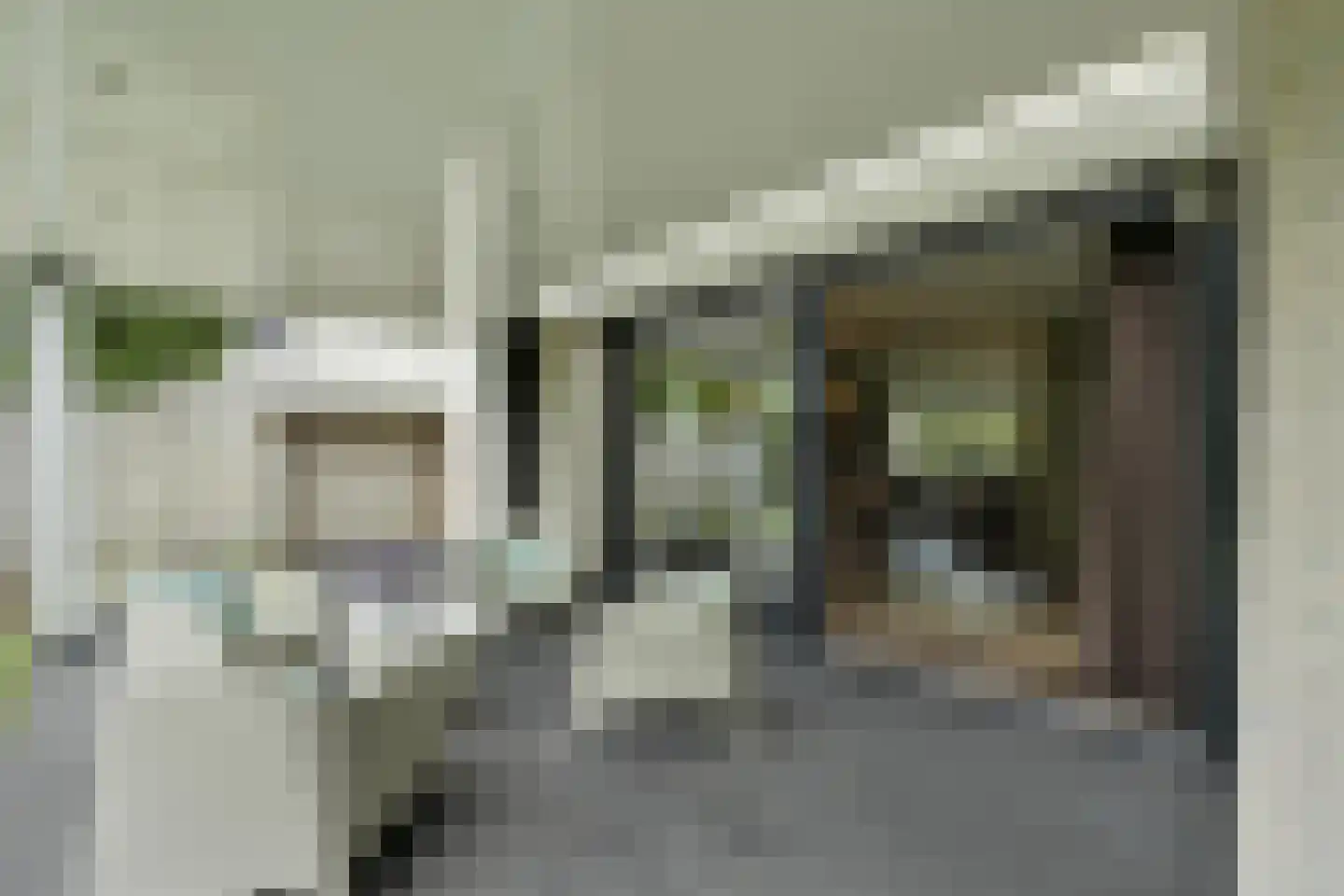 Zandhagedis 28 Eindhoven thumbnail 69