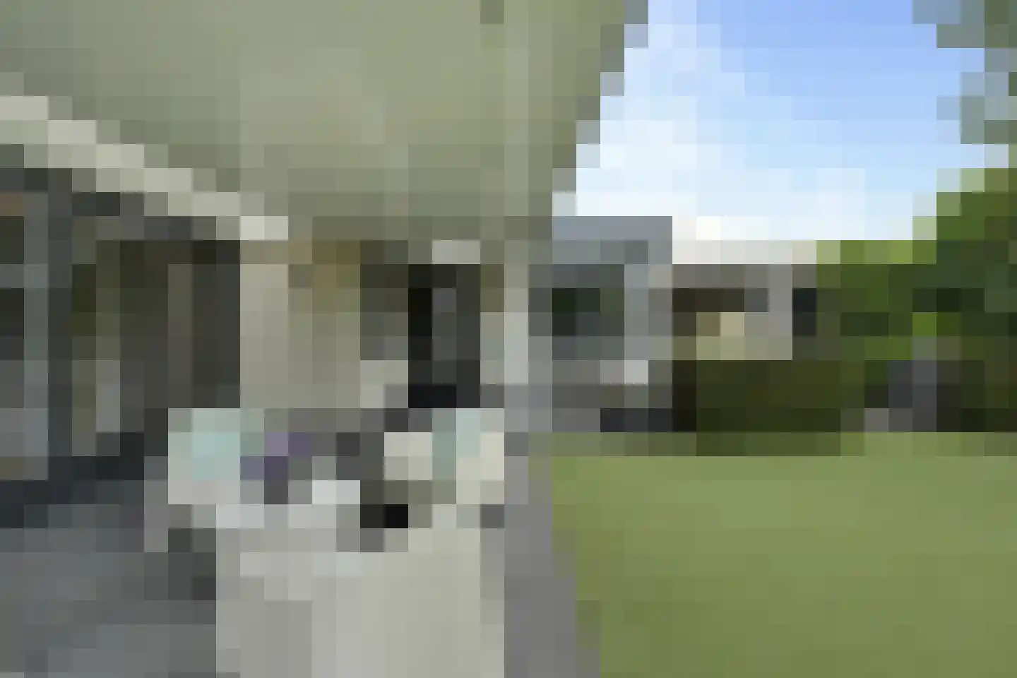 Zandhagedis 28 Eindhoven thumbnail 74
