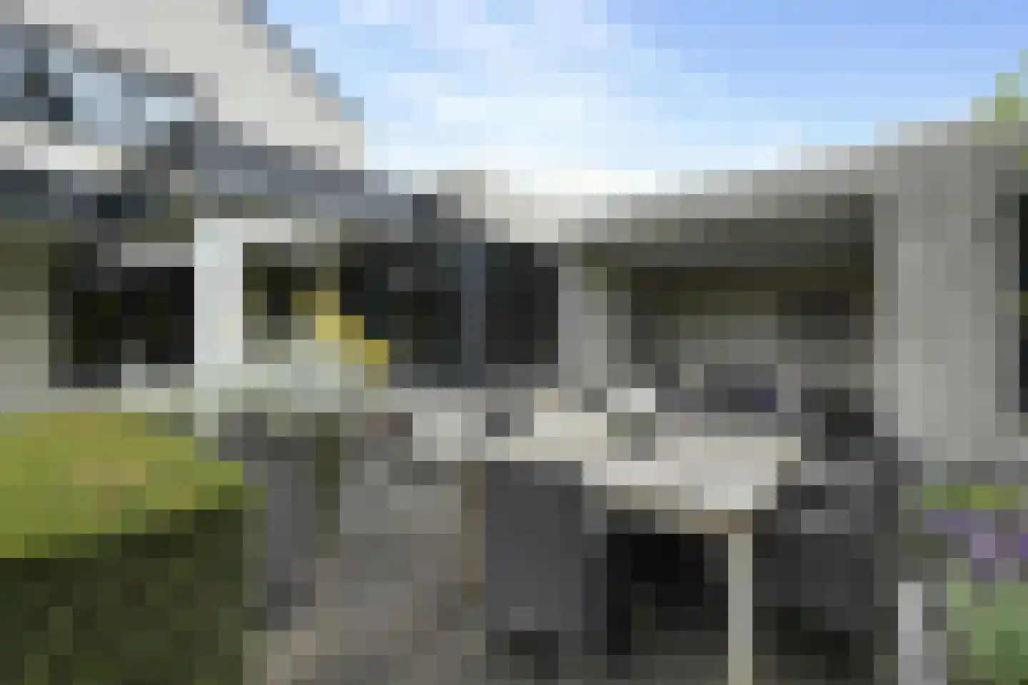 Zandhagedis 28 Eindhoven thumbnail 75
