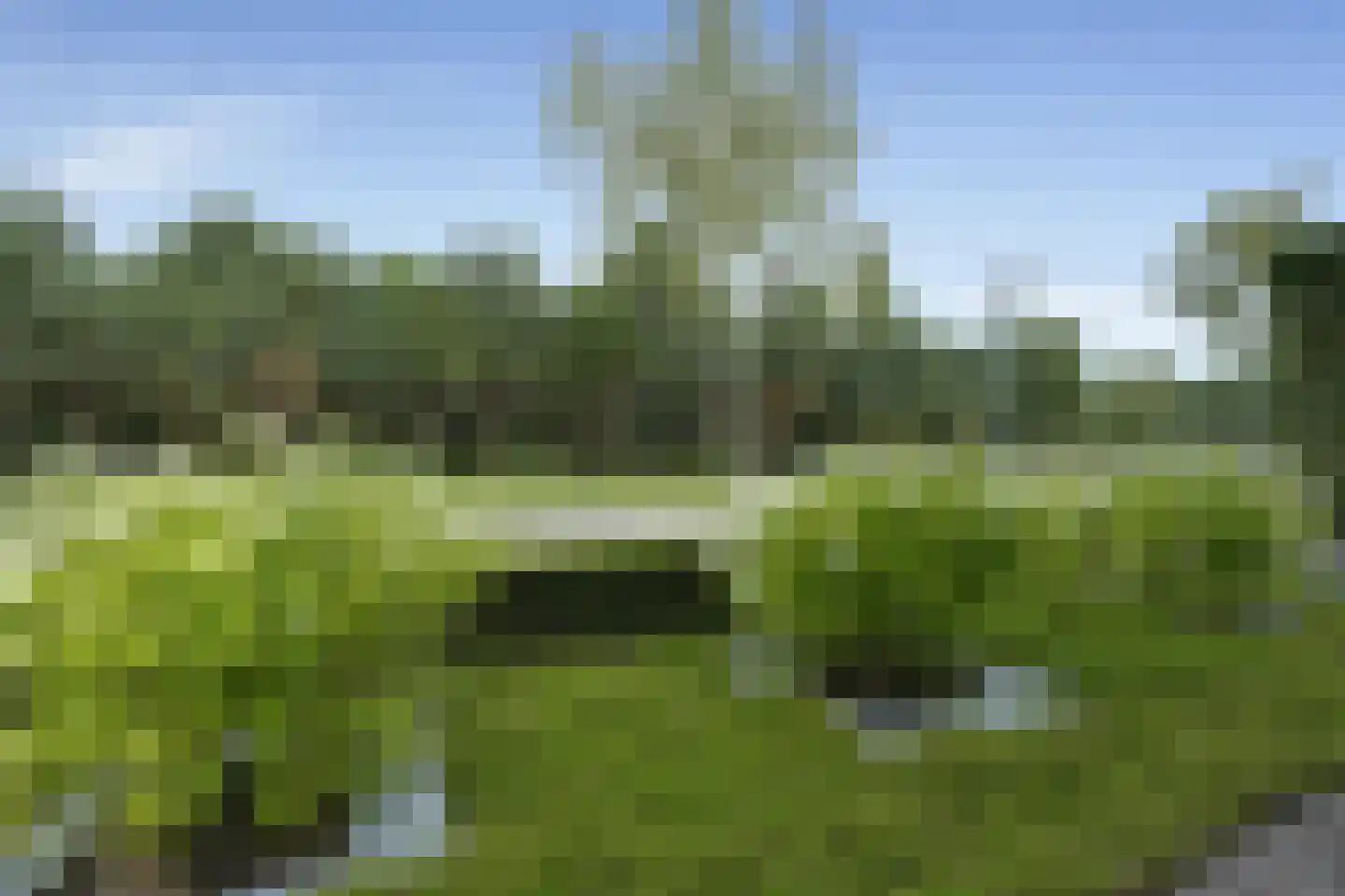 Zandhagedis 28 Eindhoven thumbnail 86