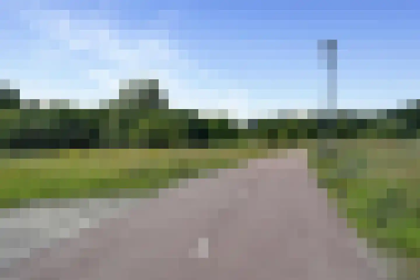 Zandhagedis 28 Eindhoven thumbnail 93