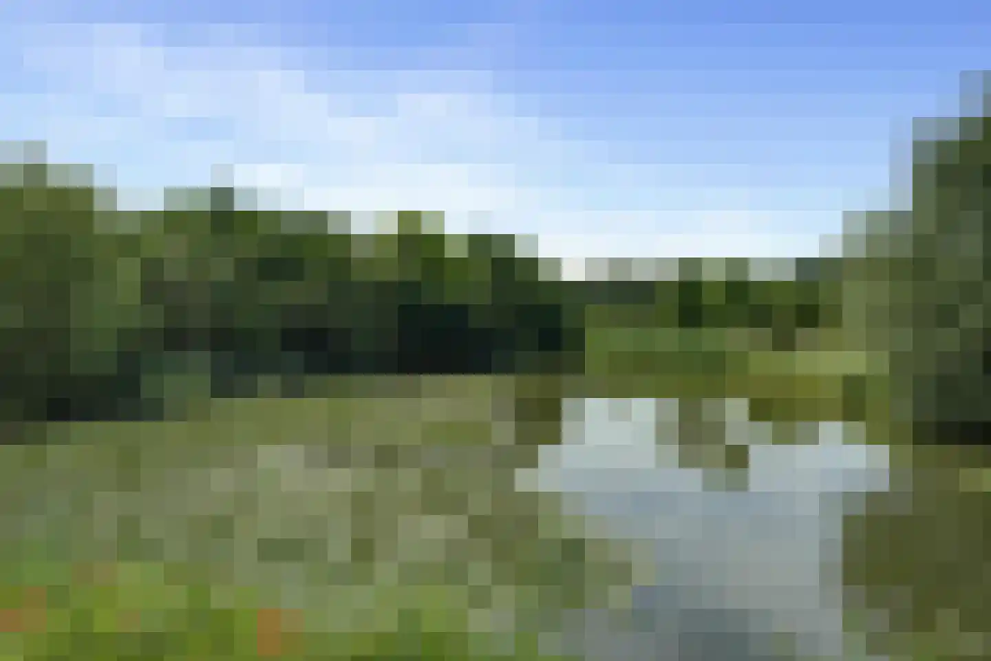 Zandhagedis 28 Eindhoven thumbnail 94