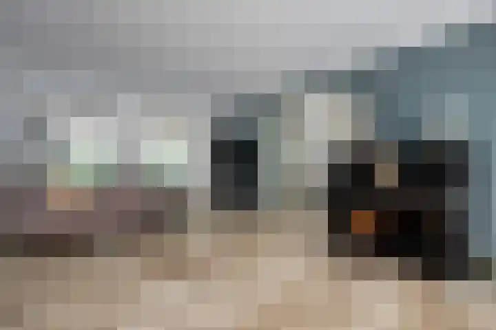 Zandhagedis 34 Eindhoven thumbnail 11