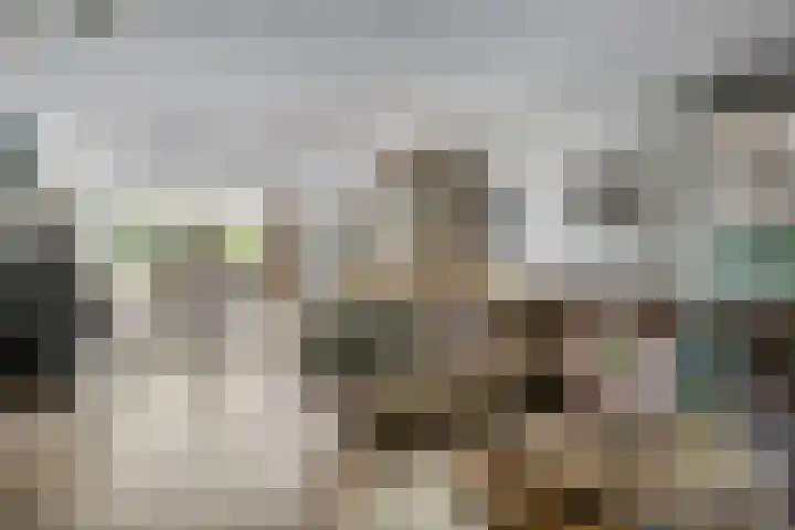 Zandhagedis 34 Eindhoven thumbnail 12