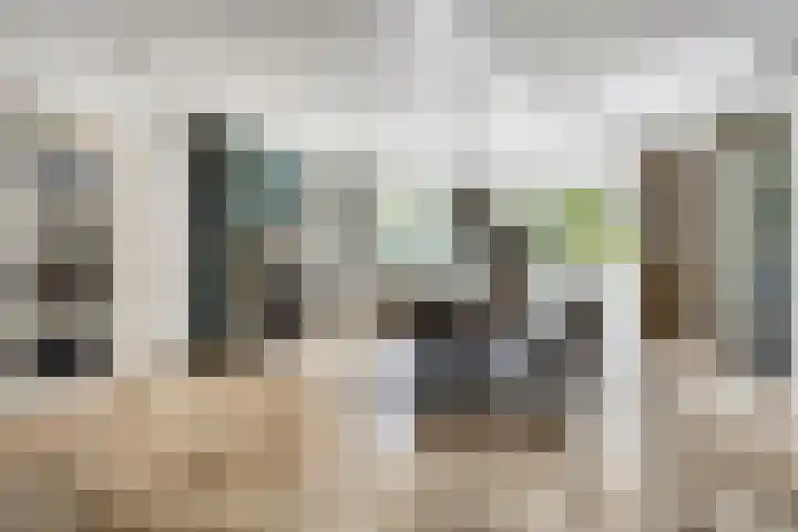 Zandhagedis 34 Eindhoven thumbnail 13