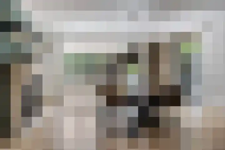 Zandhagedis 34 Eindhoven thumbnail 14