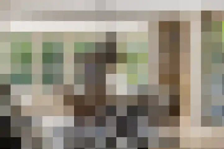 Zandhagedis 34 Eindhoven thumbnail 15