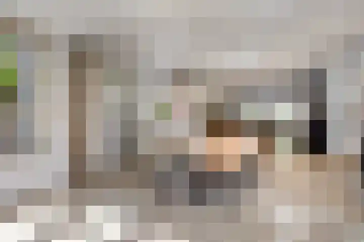 Zandhagedis 34 Eindhoven thumbnail 16