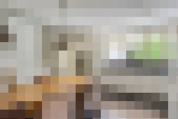 Zandhagedis 34 Eindhoven thumbnail 18