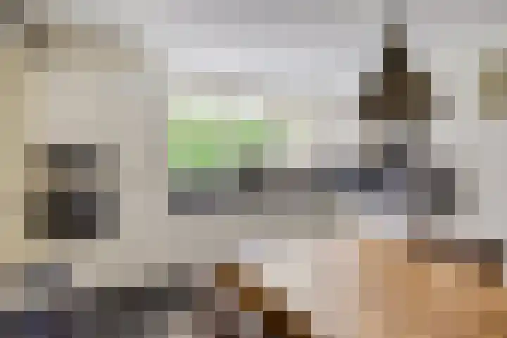 Zandhagedis 34 Eindhoven thumbnail 19