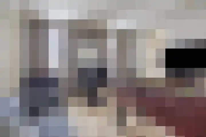 Zandhagedis 34 Eindhoven thumbnail 24